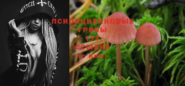 синтетический гашиш Абдулино