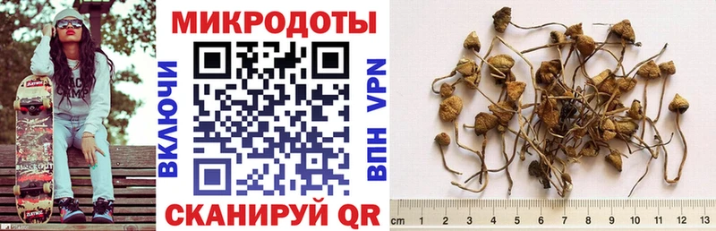 Псилоцибиновые грибы MAGIC MUSHROOMS  Липецк 